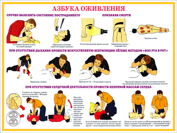 ПВ05 Первая помощь при чрезвычайных ситуациях (пластик, А3, 9 листов) - Плакаты - Медицинская помощь - . Магазин Znakstend.ru